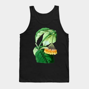 Hoya lasiantha - botanical illustration Tank Top